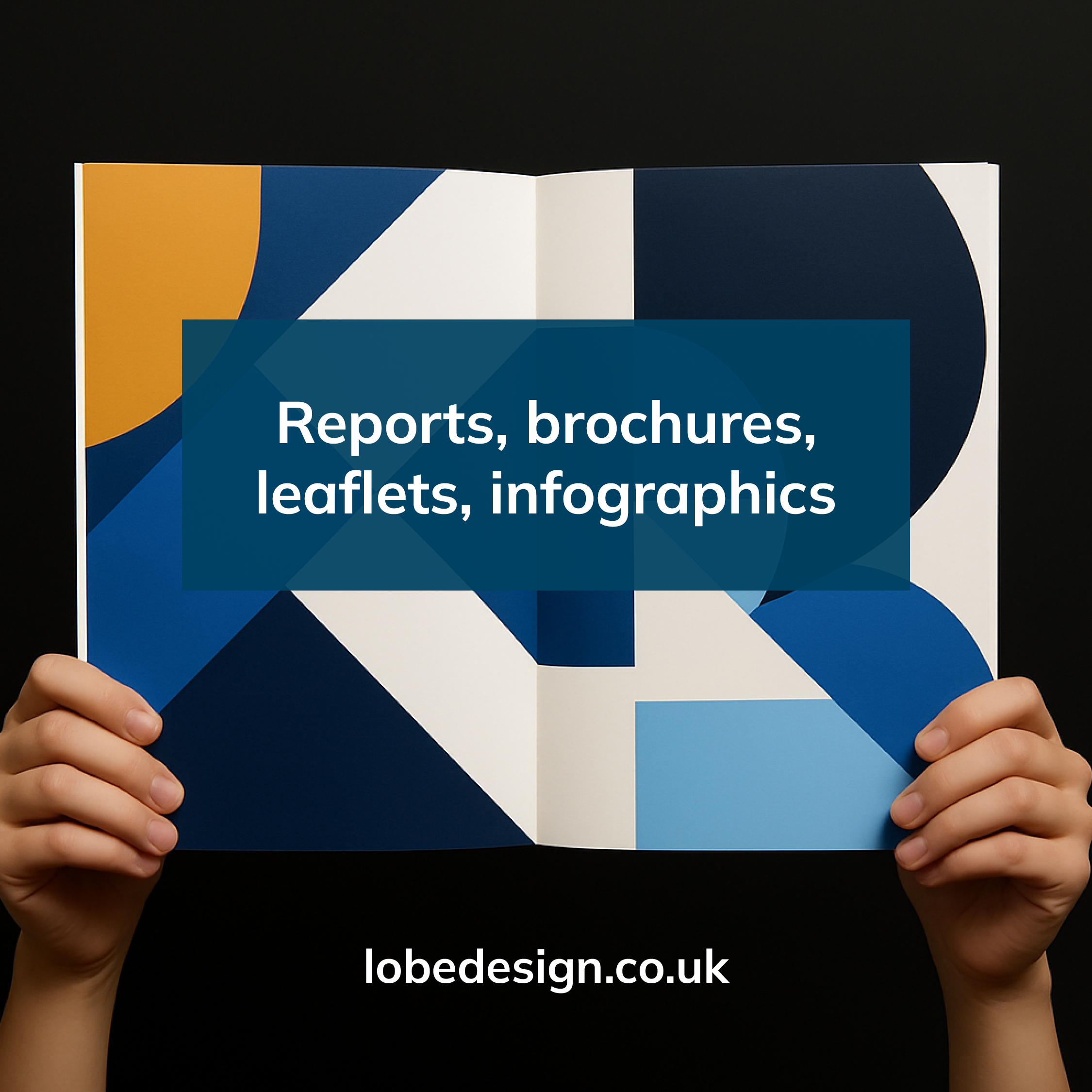 Lobe Advert 2